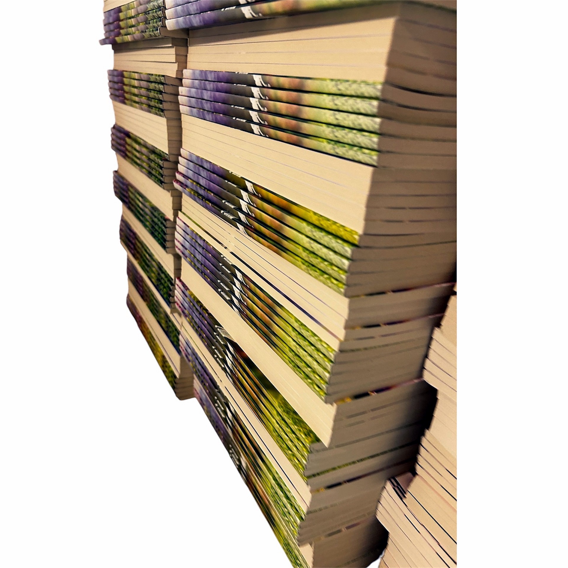 Interior de una revista Sopas de Letras KIOSTRO